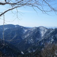 岐阜中央森林組合