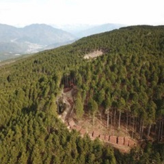 森の樹林産株式会社