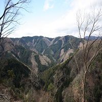 有限会社根尾開発