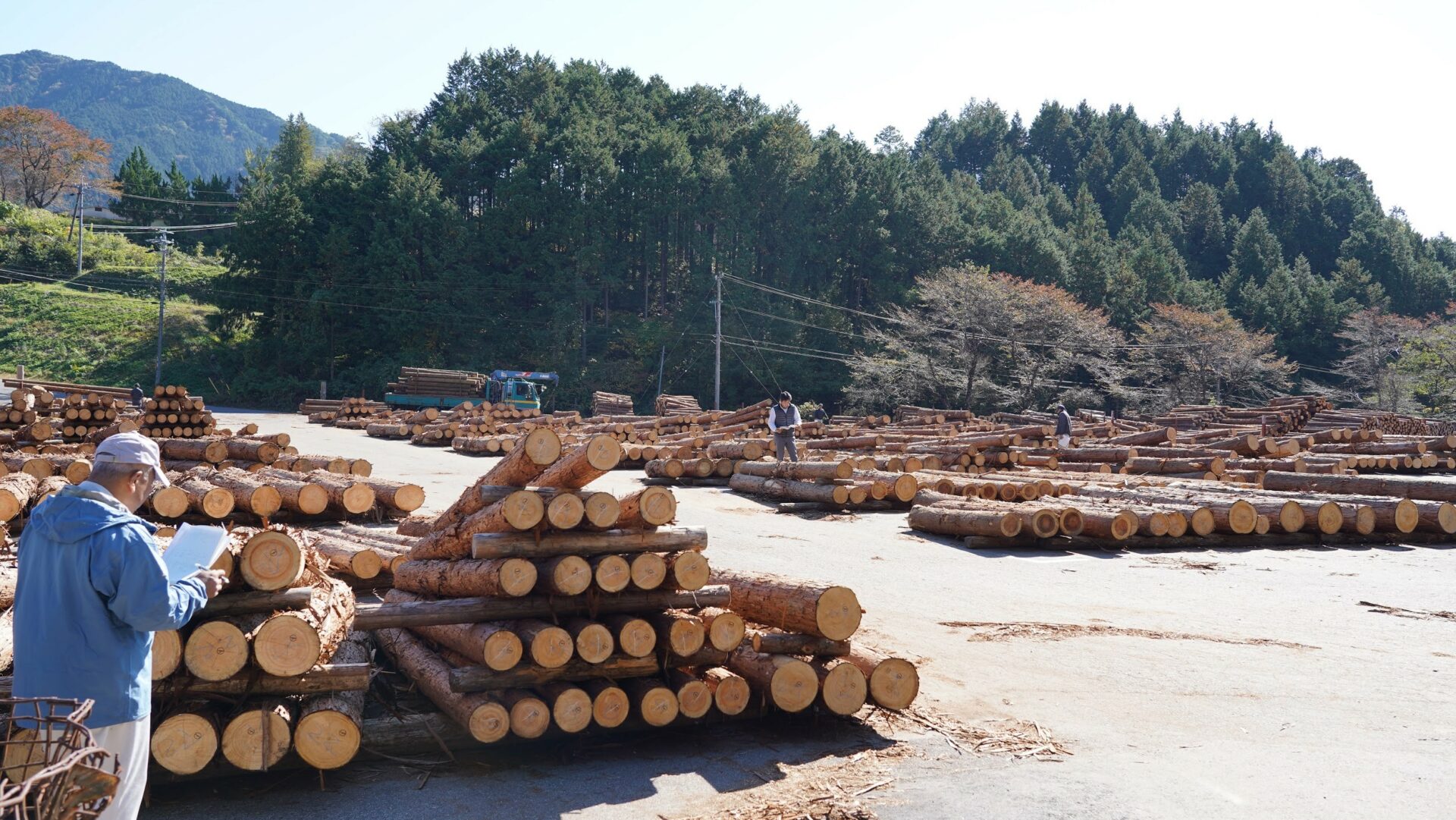林業で山から搬出された丸太は木材市場へ市場当日を訪れてみました 森のジョブステーション 森ジョブ 公益社団法人 岐阜県森林公社